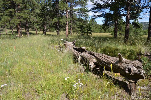 Pickens Road Florissant, CO 80816 - Photo 10 of 35 a view of yard with green space and seating area