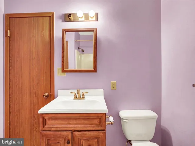 a bathroom with a toilet a sink and mirror