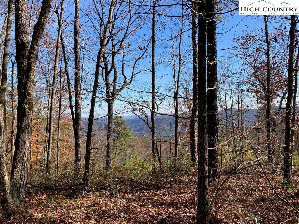 73 Lobelia Way Boone, NC 28607 - Photo 1 of 4 Gallery Image 1