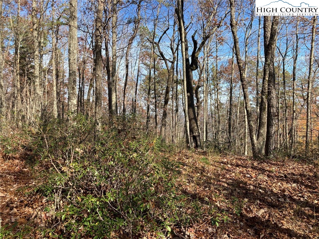 73 Lobelia Way Boone, NC 28607 - Photo 2 of 4 Gallery Image 2