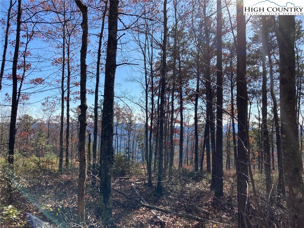 73 Lobelia Way Boone, NC 28607 - Photo 3 of 4 Gallery Image 3
