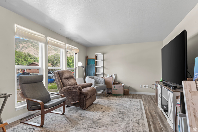 564 Swenson Avenue Springville, UT 84663 - Photo 4 of 26 Bright living area featuring wood-finish flooring, light neutral wall tones, and multiple windows with mountain scenery