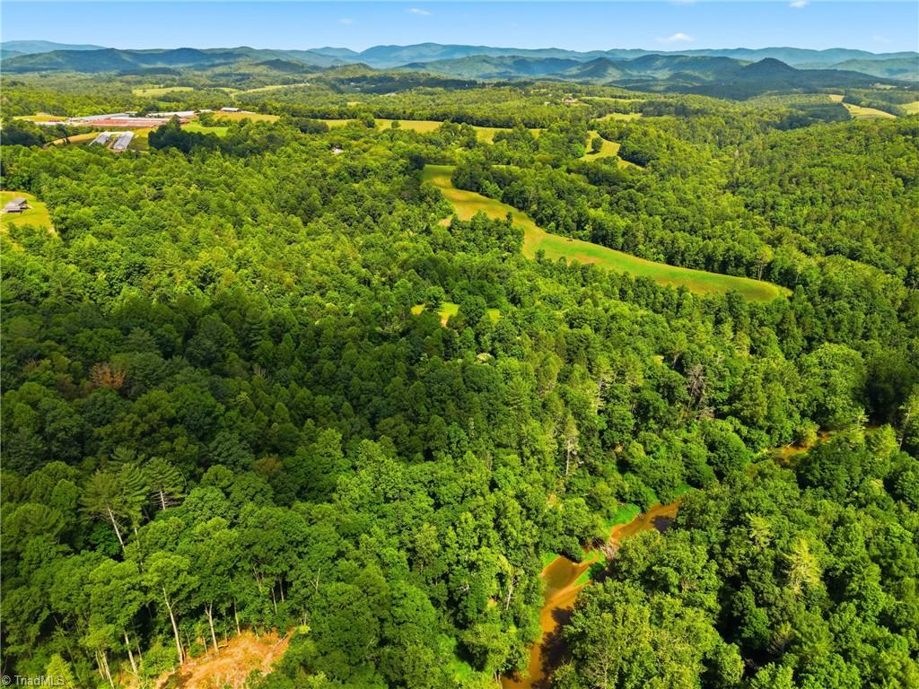 Tbd Harris Road Wilkesboro, NC 28697 - Photo 23 of 25