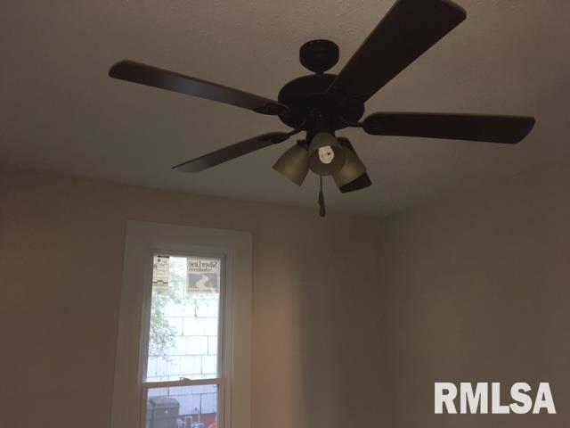 748 East Locust Street Canton, IL 61520 - Photo 21 of 25 Gallery Image 21