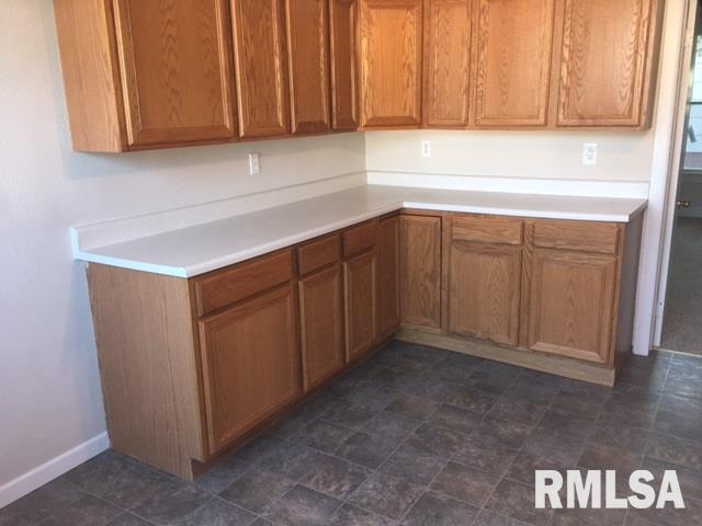 748 East Locust Street Canton, IL 61520 - Photo 6 of 25 Gallery Image 6