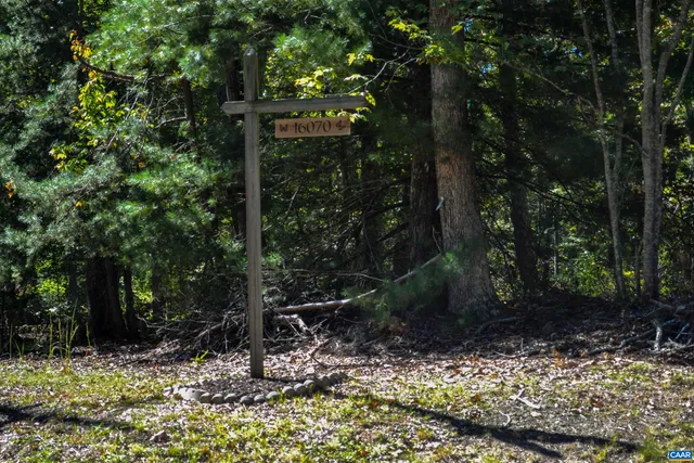 a view of a trees with a yard