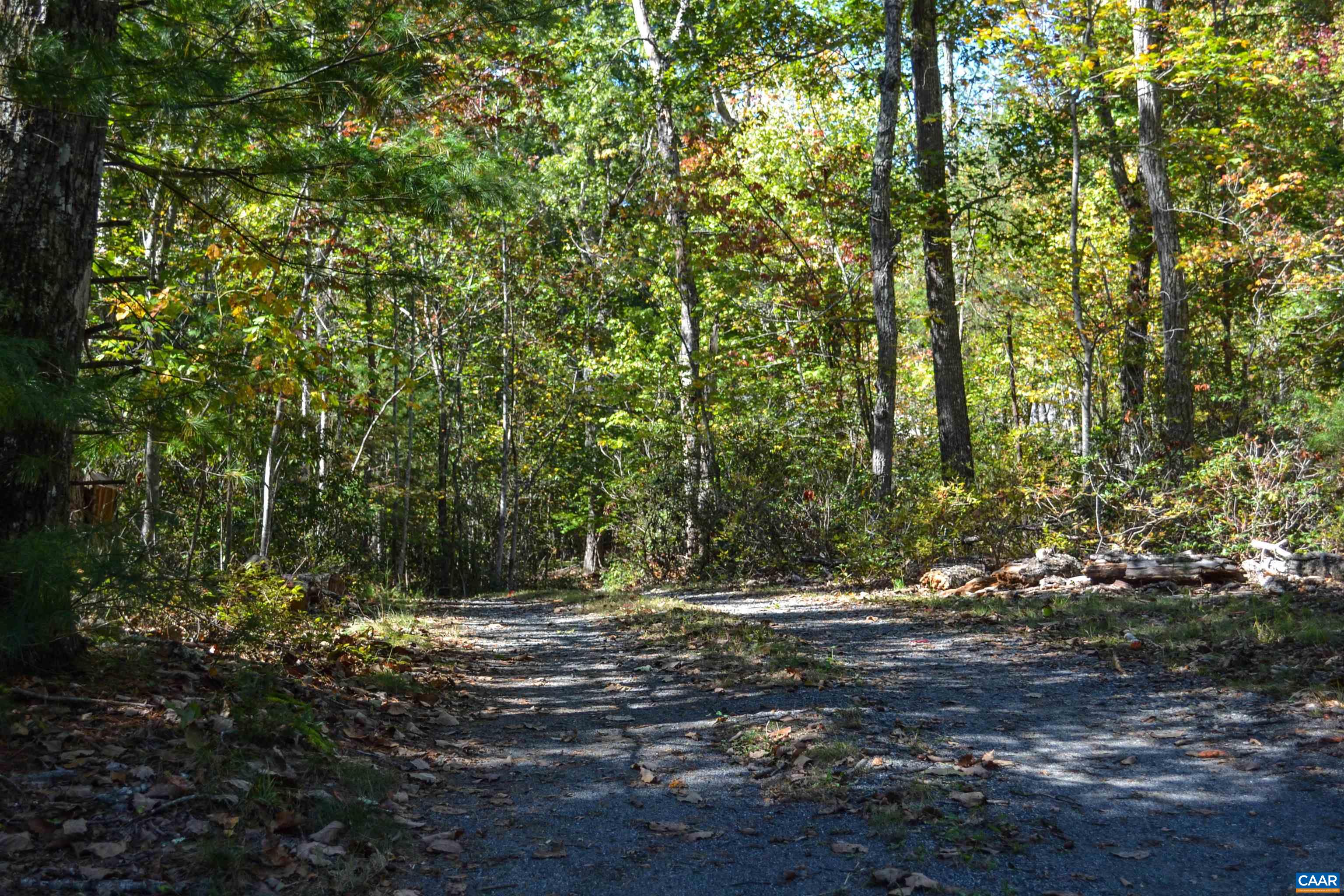 16070 Burnley Road Barboursville, VA 22923 - Photo 31 of 37 a view of outdoor space and trees