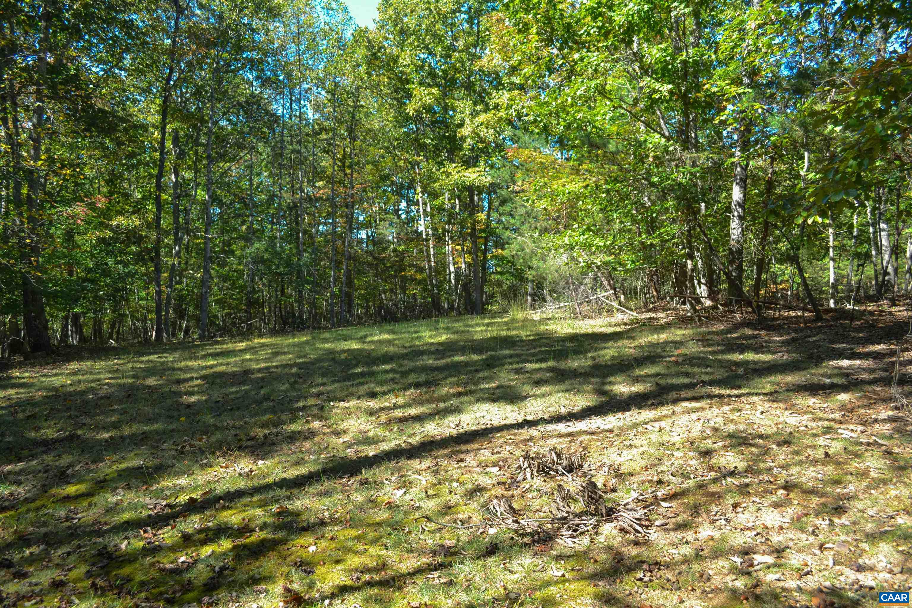 16070 Burnley Road Barboursville, VA 22923 - Photo 32 of 37 a view of a trees with a yard