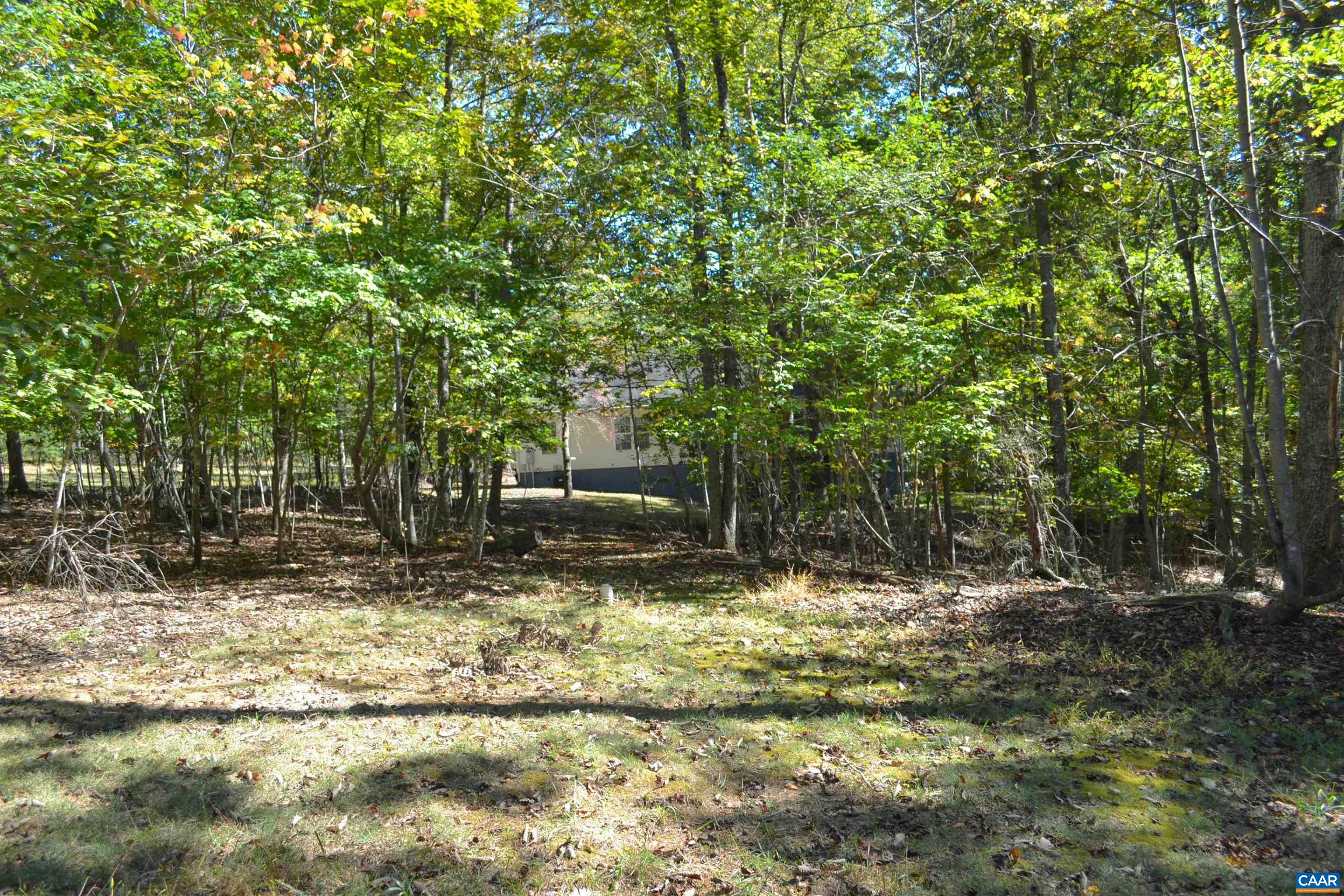 16070 Burnley Road Barboursville, VA 22923 - Photo 33 of 37 a view of backyard with trees