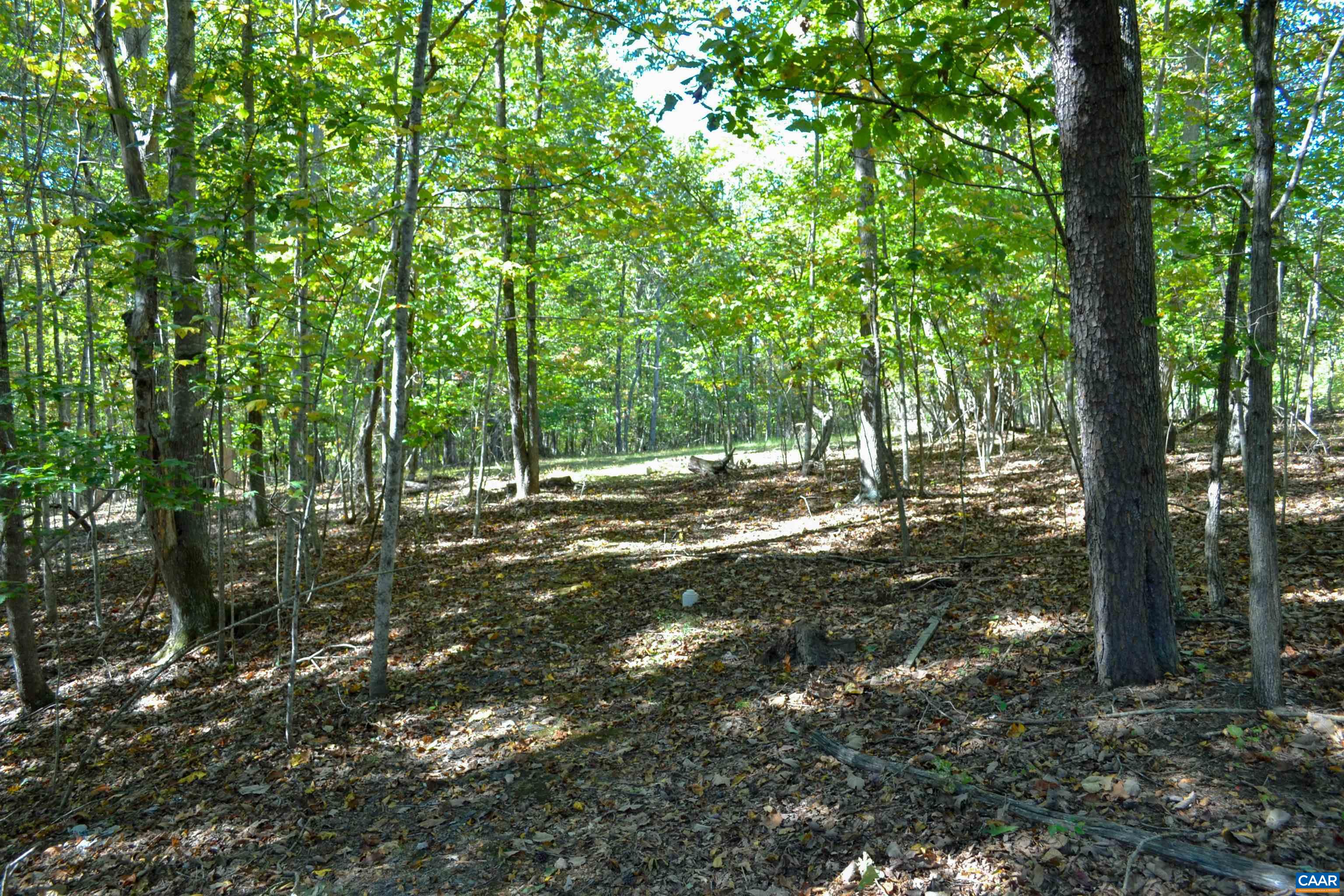 16070 Burnley Road Barboursville, VA 22923 - Photo 34 of 37 a view of outdoor space and trees