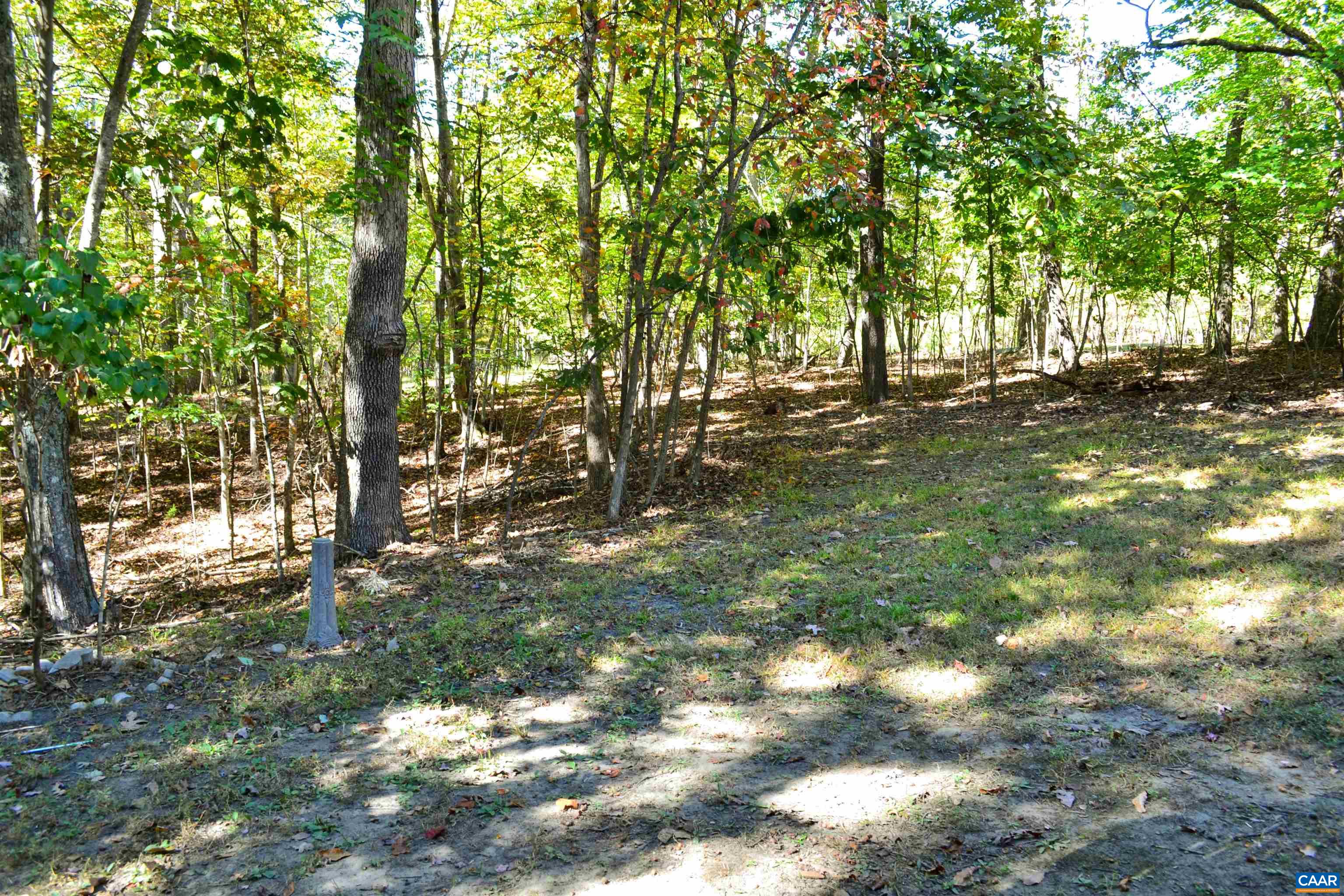 16070 Burnley Road Barboursville, VA 22923 - Photo 35 of 37