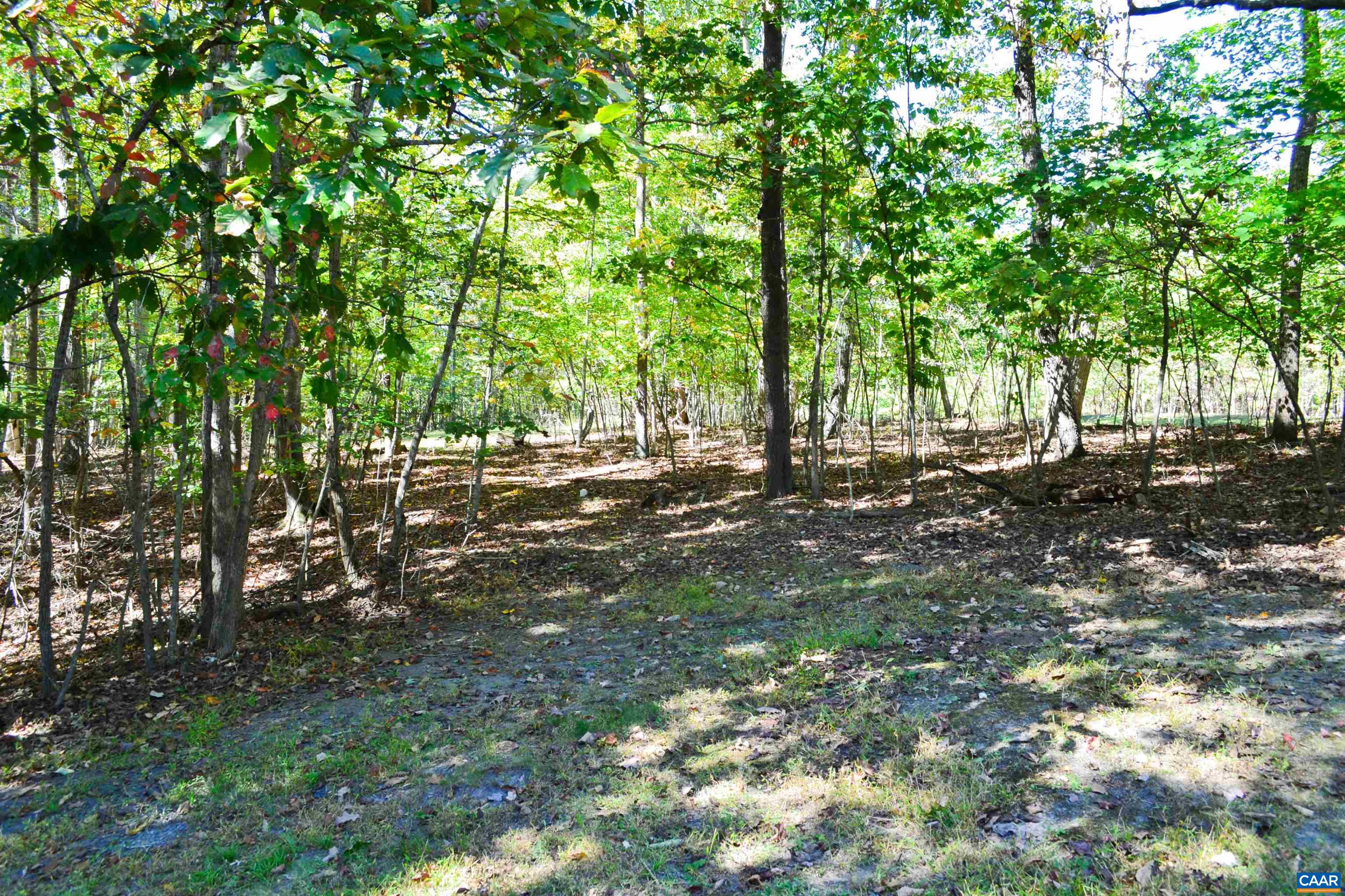 16070 Burnley Road Barboursville, VA 22923 - Photo 37 of 37 a backyard of a house with lots of green space
