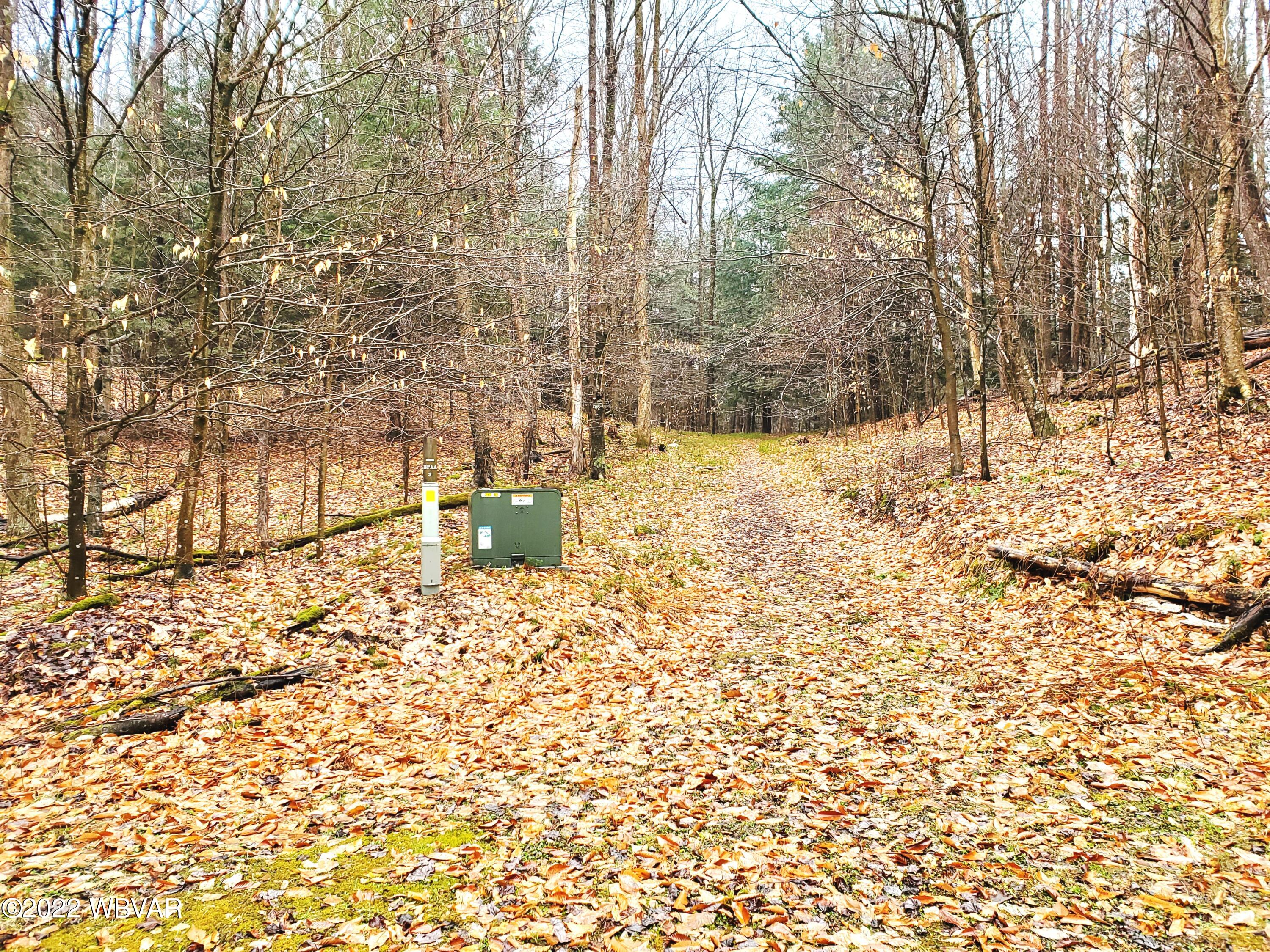 Ridge Road, Unit 11 Muncy Valley, PA 17758 - Photo 2 of 4 Gallery Image 2