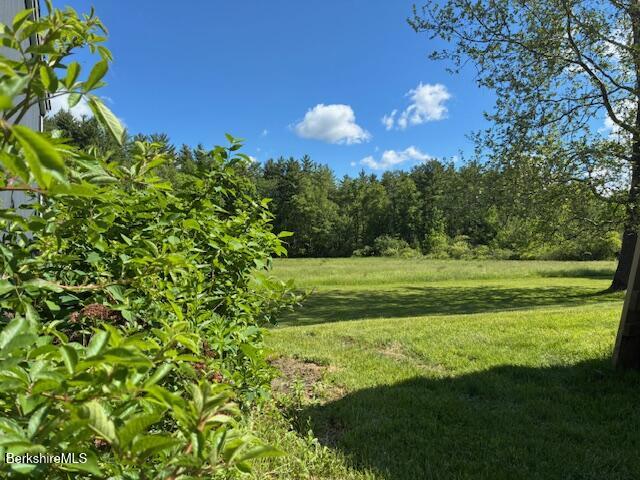 42 Mt Washington Road Egremont, MA 01230 - Photo 17 of 20 IMG_6957