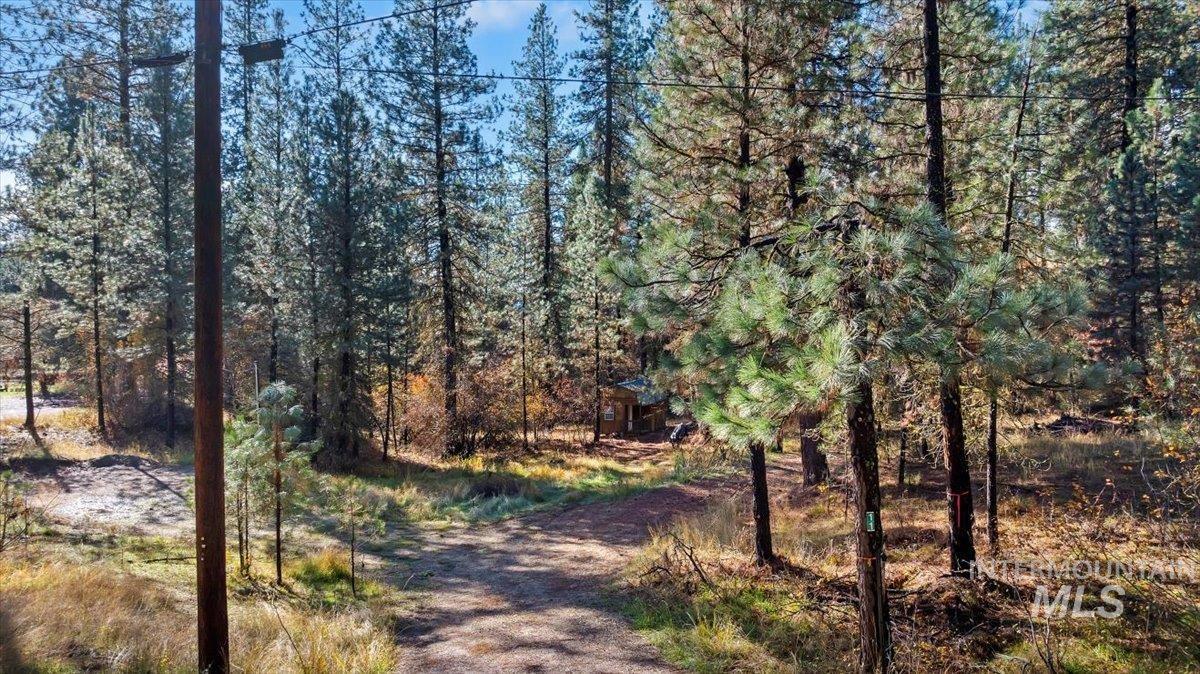 Lot 28 Horseshoe Rd Garden Valley Garden Valley, ID 83622 - Photo 12 of 28 View of road