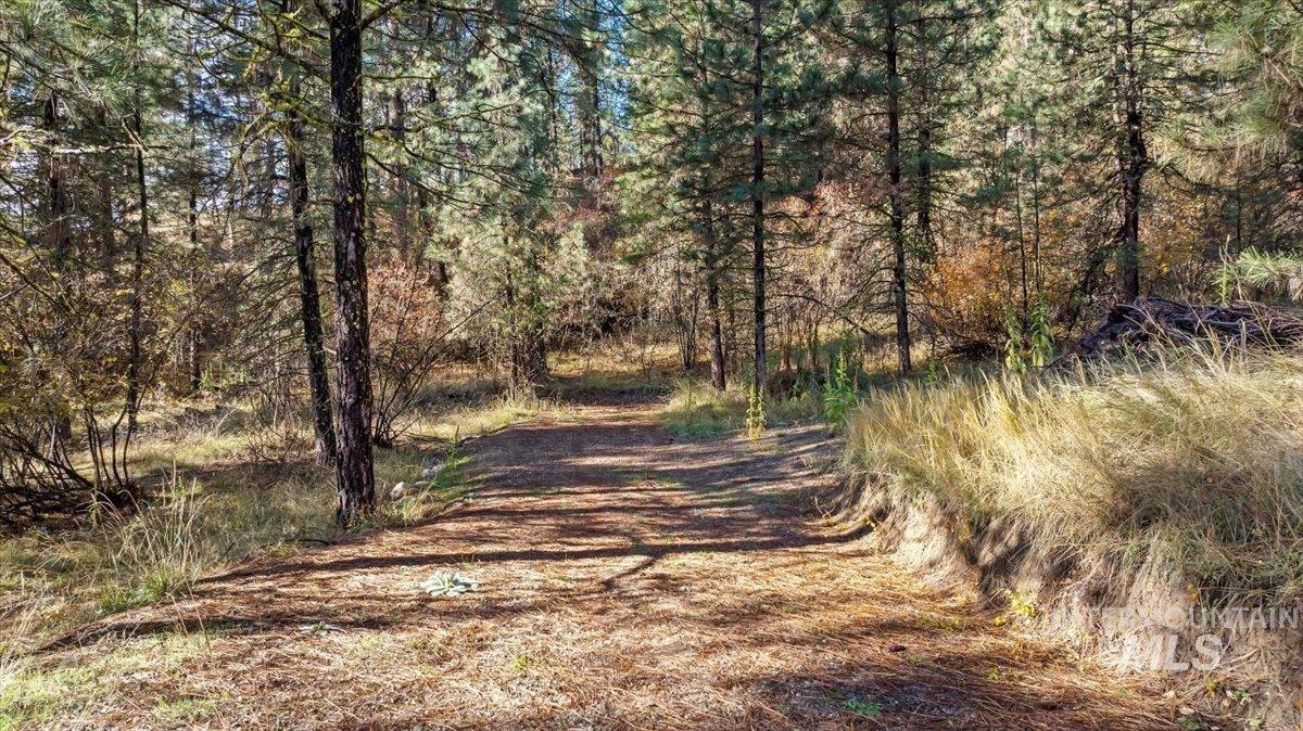 Lot 28 Horseshoe Rd Garden Valley Garden Valley, ID 83622 - Photo 15 of 28 View of street