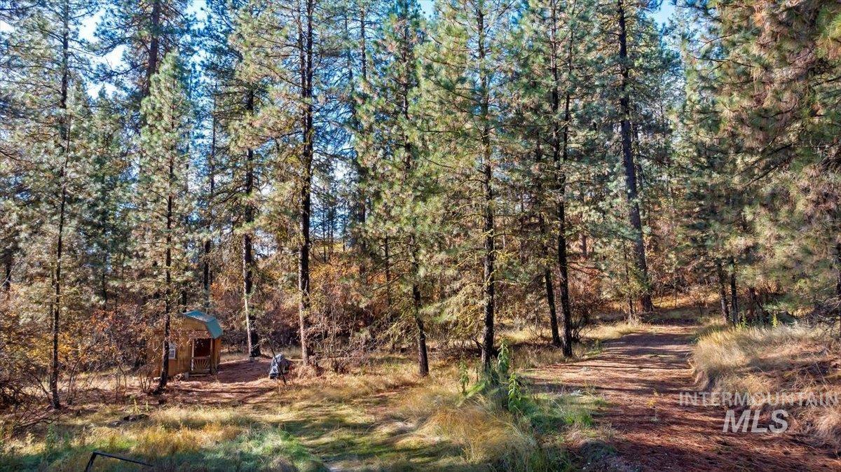 Lot 28 Horseshoe Rd Garden Valley Garden Valley, ID 83622 - Photo 7 of 28 View of yard featuring a view of trees