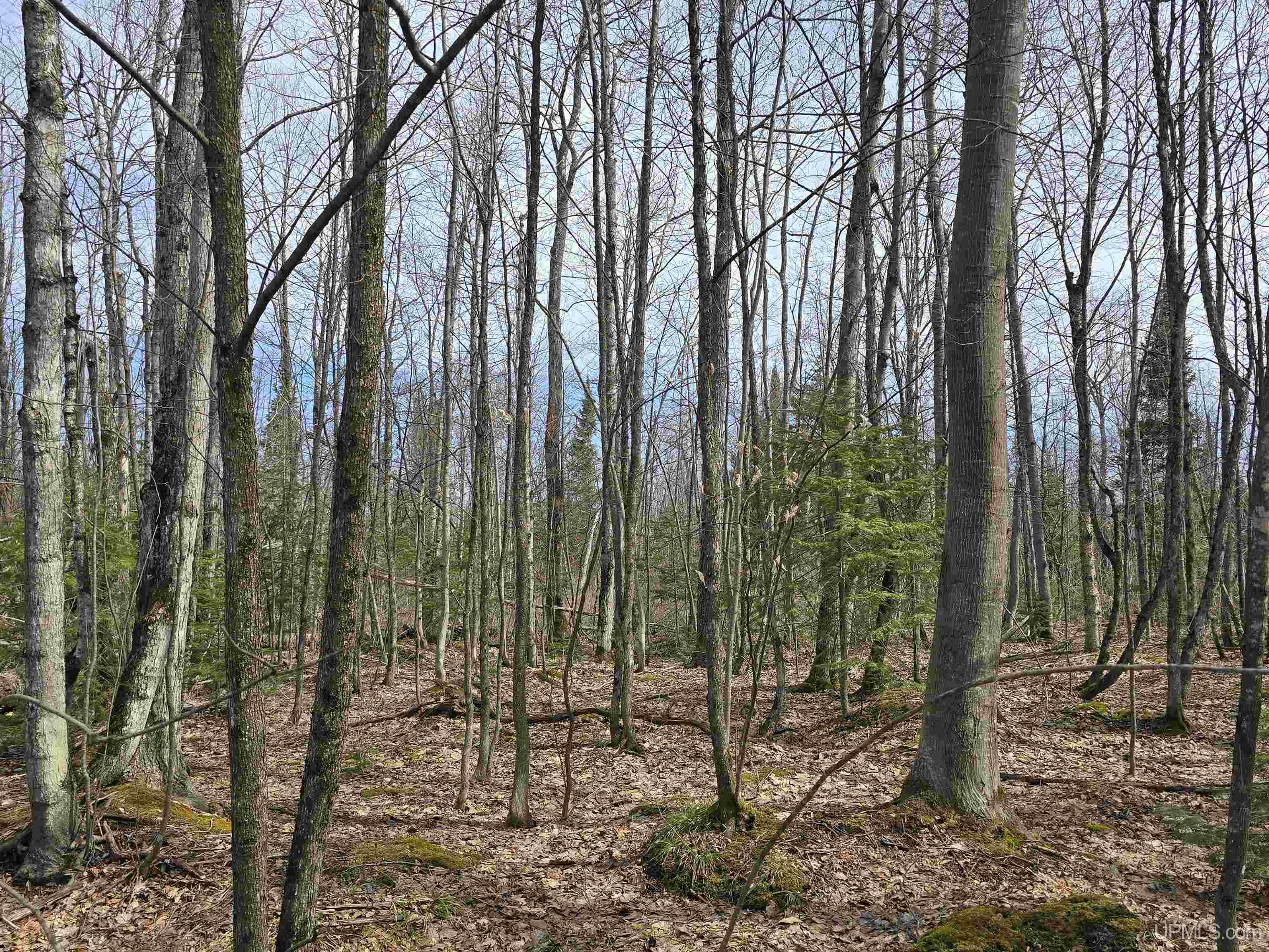 Tbd Woodspur Road Ontonagon, MI 49953 - Photo 40 of 46