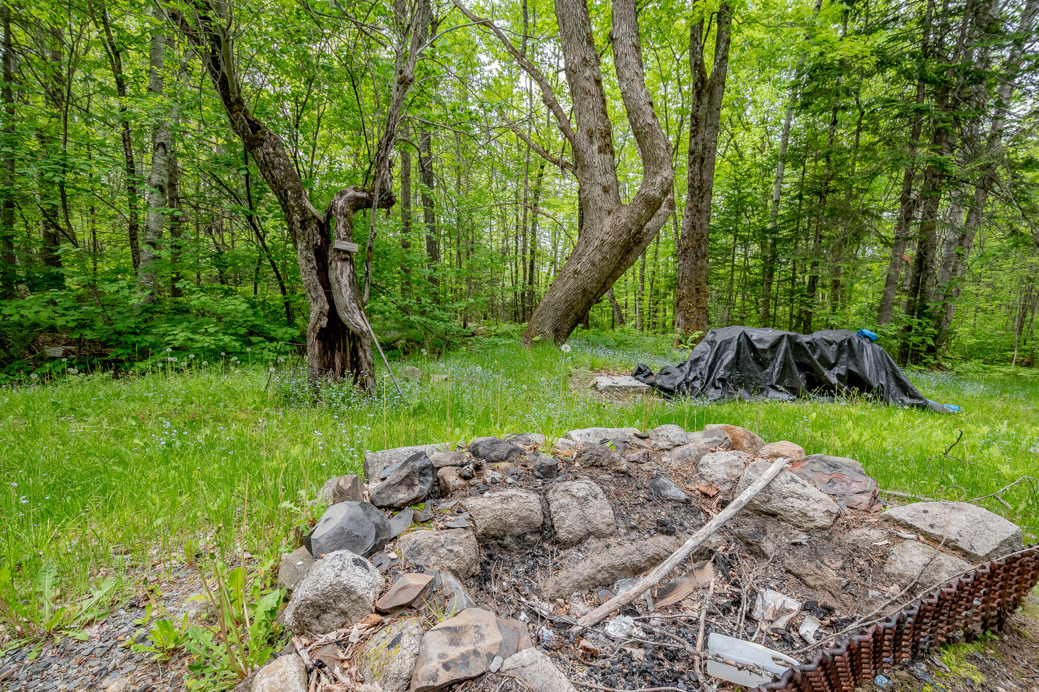 M5-l28 Cemetery Road Guilford, ME 04443 - Photo 29 of 58 DSC_0981