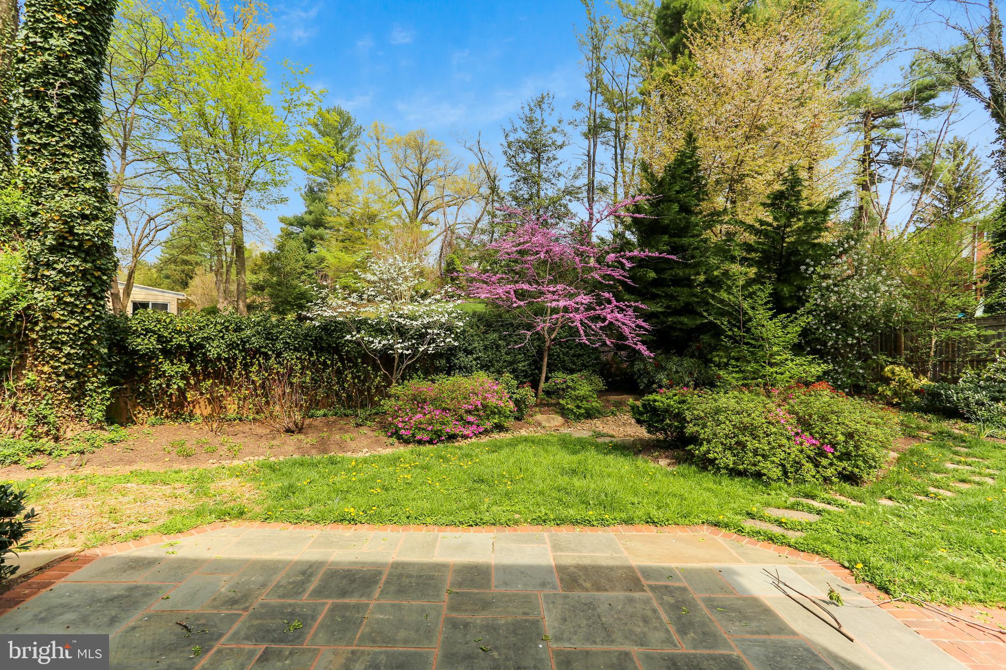 9017 Rouen Lane Potomac, MD 20854 - Photo 36 of 40 Rear Yard