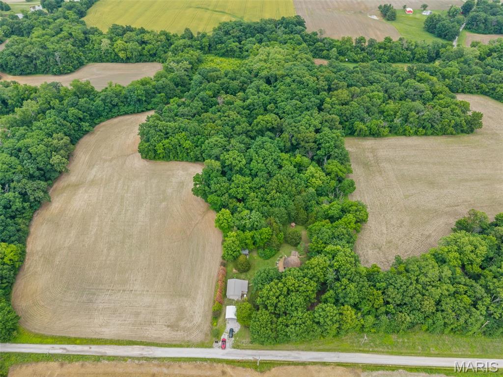 12042 Dutch Ashley, IL 62808 - Photo 35 of 45