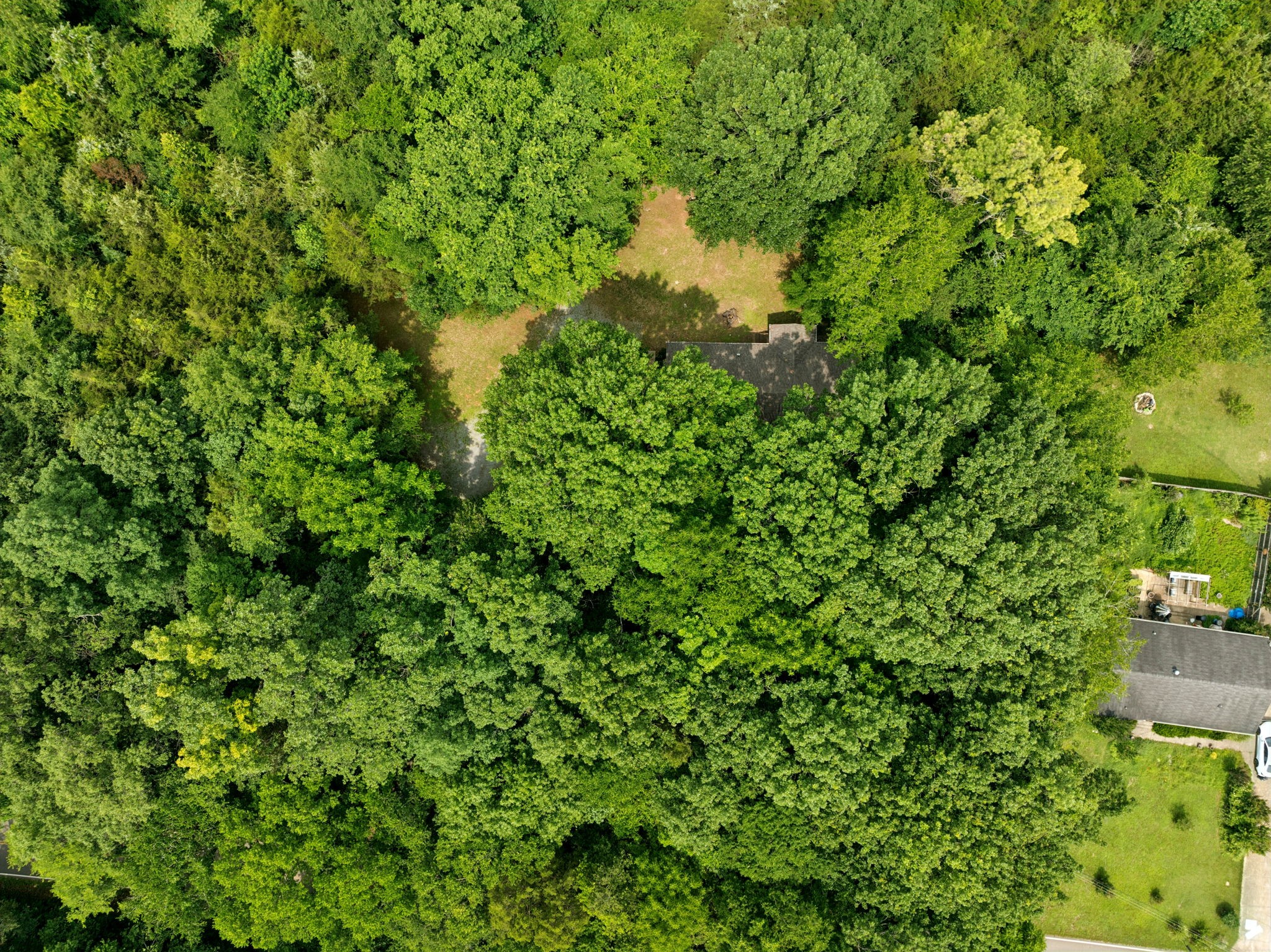 6031 Buckeye Valley Road Murfreesboro, TN 37129 - Photo 5 of 47