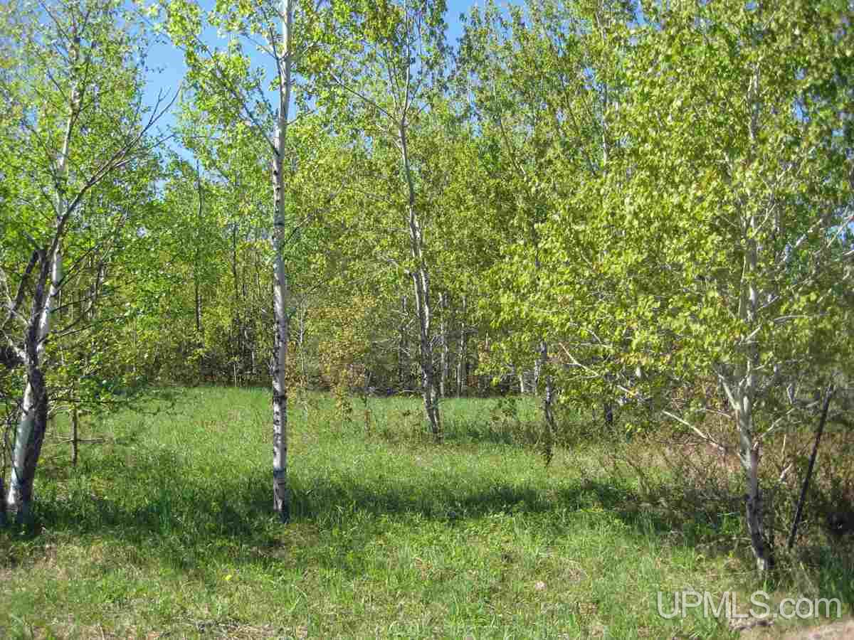 Lot G Connors Road Munising, MI 49862 - Photo 5 of 6