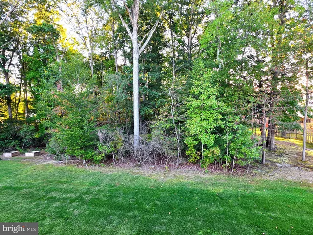 a view of a backyard with a garden