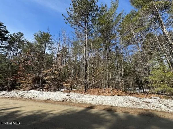 $59,900 | 204 Mountain Path, Johnsburg, NY 12853