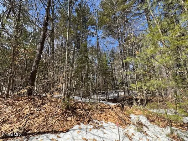 $59,900 | 204 Mountain Path, Johnsburg, NY 12853