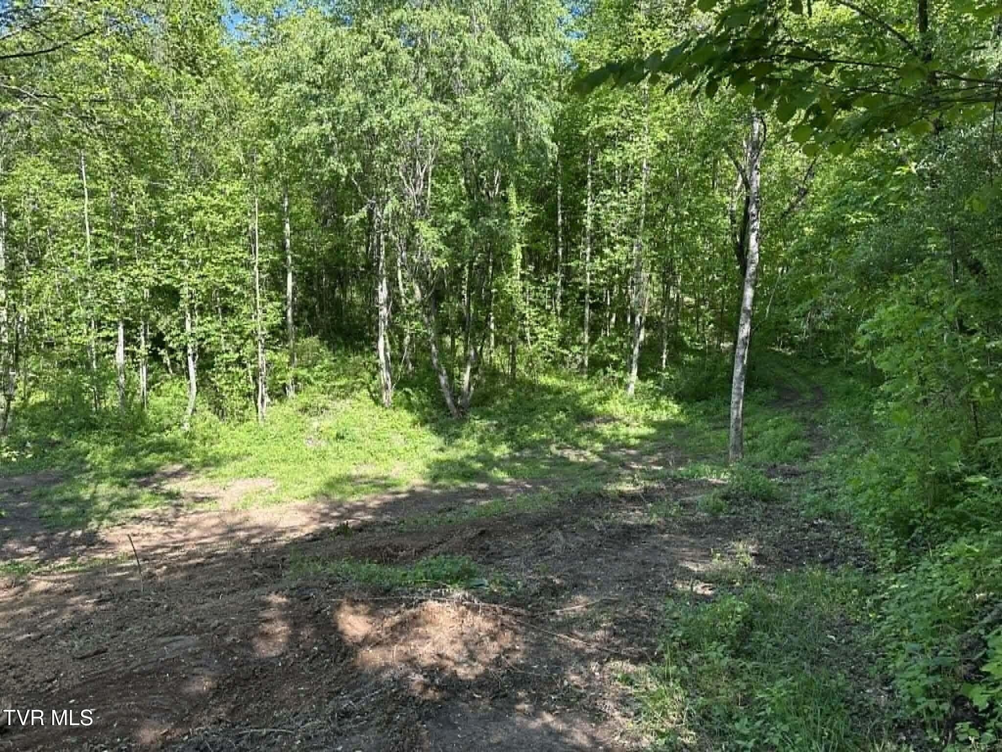 Tba Kingdom Road Duffield, VA 24244 - Photo 14 of 37 5e9b9193-f607-4122-9143-e313634d6008