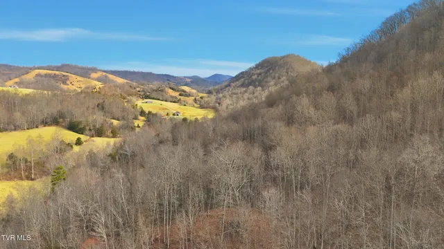 $225,000 | Tba Kingdom Road, Duffield, VA 24244