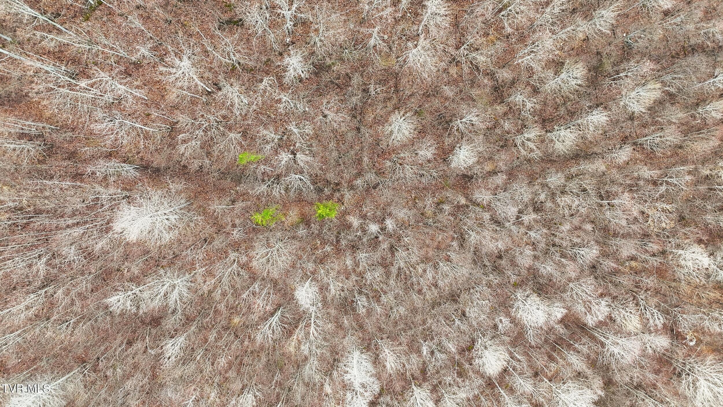Tba Kingdom Road Duffield, VA 24244 - Photo 27 of 37 dji_20260114121216_0457_d