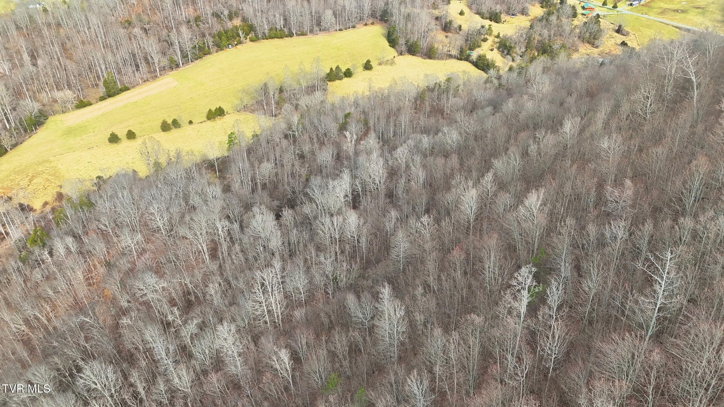 Tba Kingdom Road Duffield, VA 24244 - Photo 30 of 37 dji_20260114121239_0460_d
