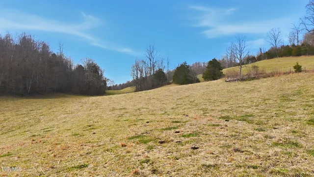 $225,000 | Tba Kingdom Road, Duffield, VA 24244