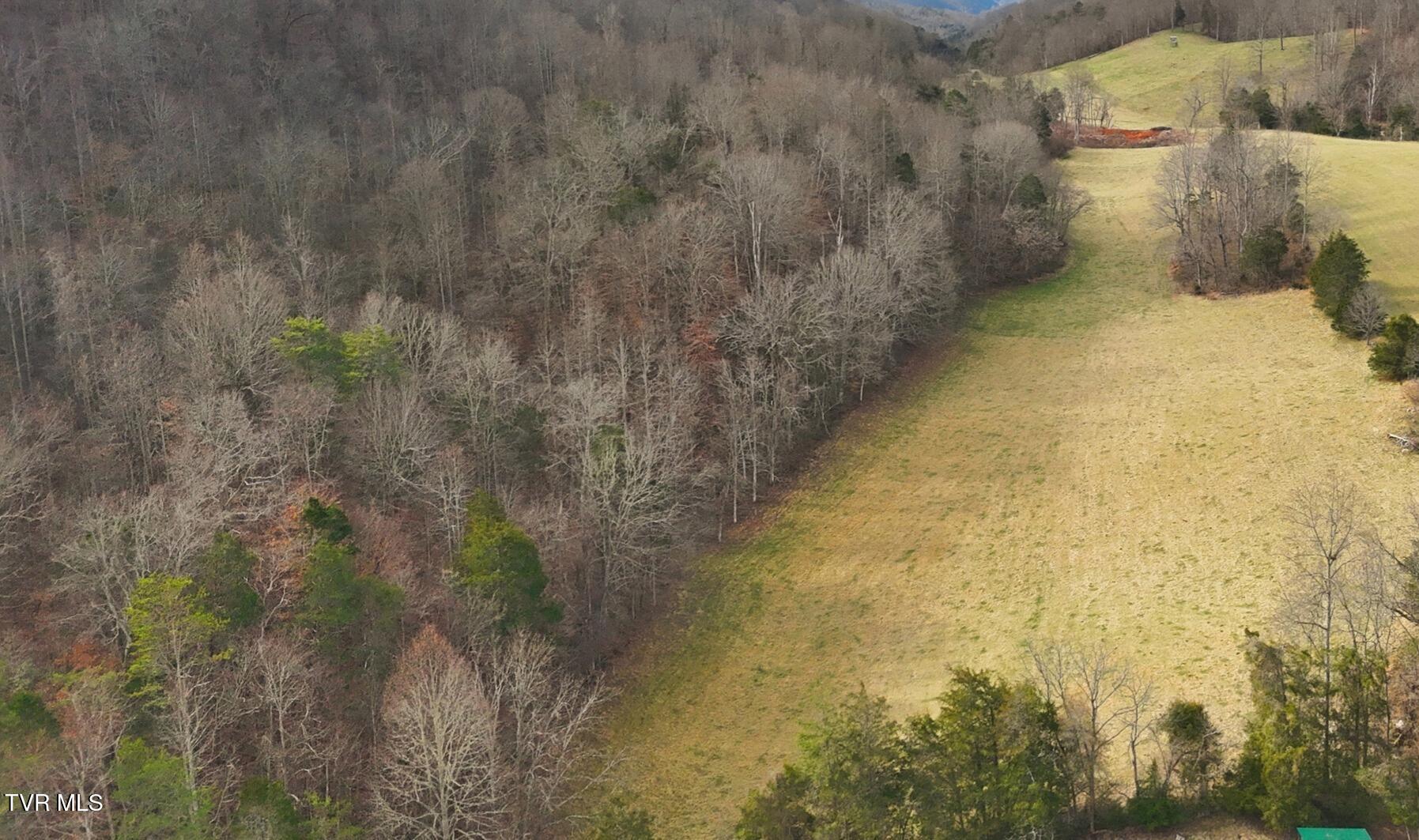 Tba Kingdom Road Duffield, VA 24244 - Photo 6 of 22 kingdom field