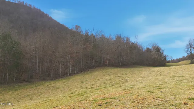 $225,000 | Tba Kingdom Road, Duffield, VA 24244