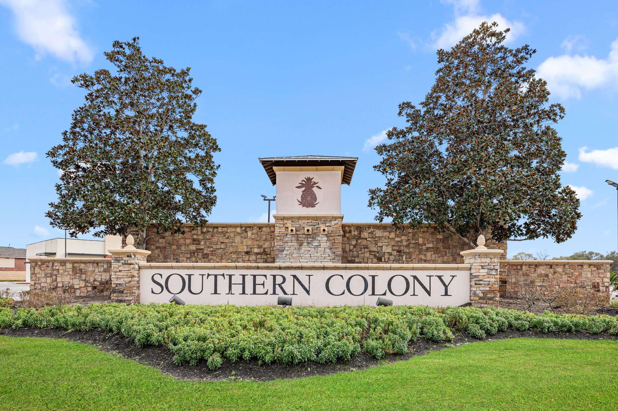 8014 Ecru Lane Rosharon, TX 77583 - Photo 26 of 34