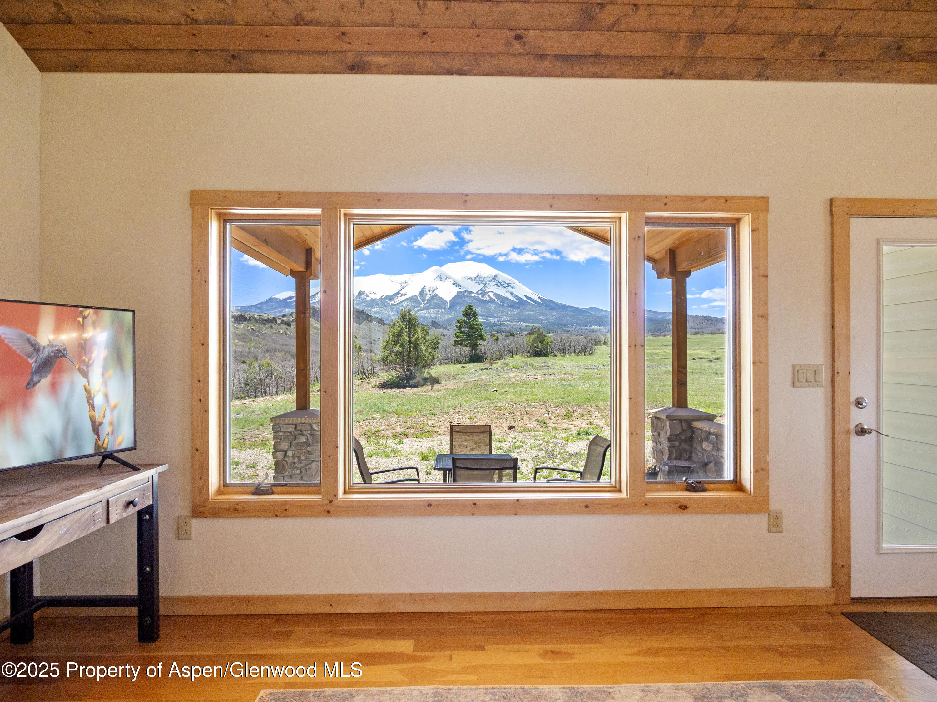 741 Big Wall Lane La Veta, CO 81055 - Photo 16 of 47 a living room with fireplace furniture and a flat screen tv