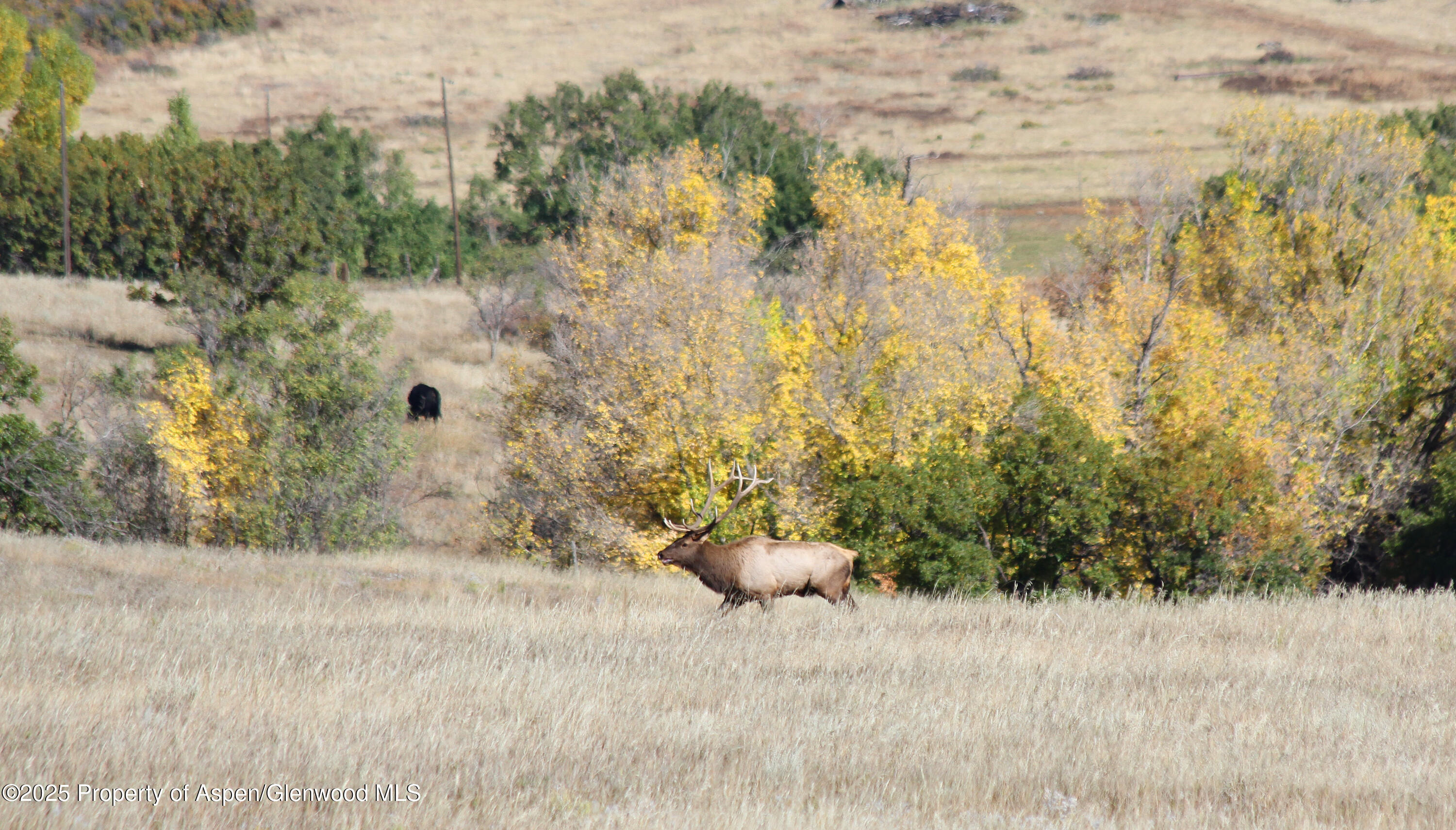 741 Big Wall Lane La Veta, CO 81055 - Photo 18 of 47 a view of a yard