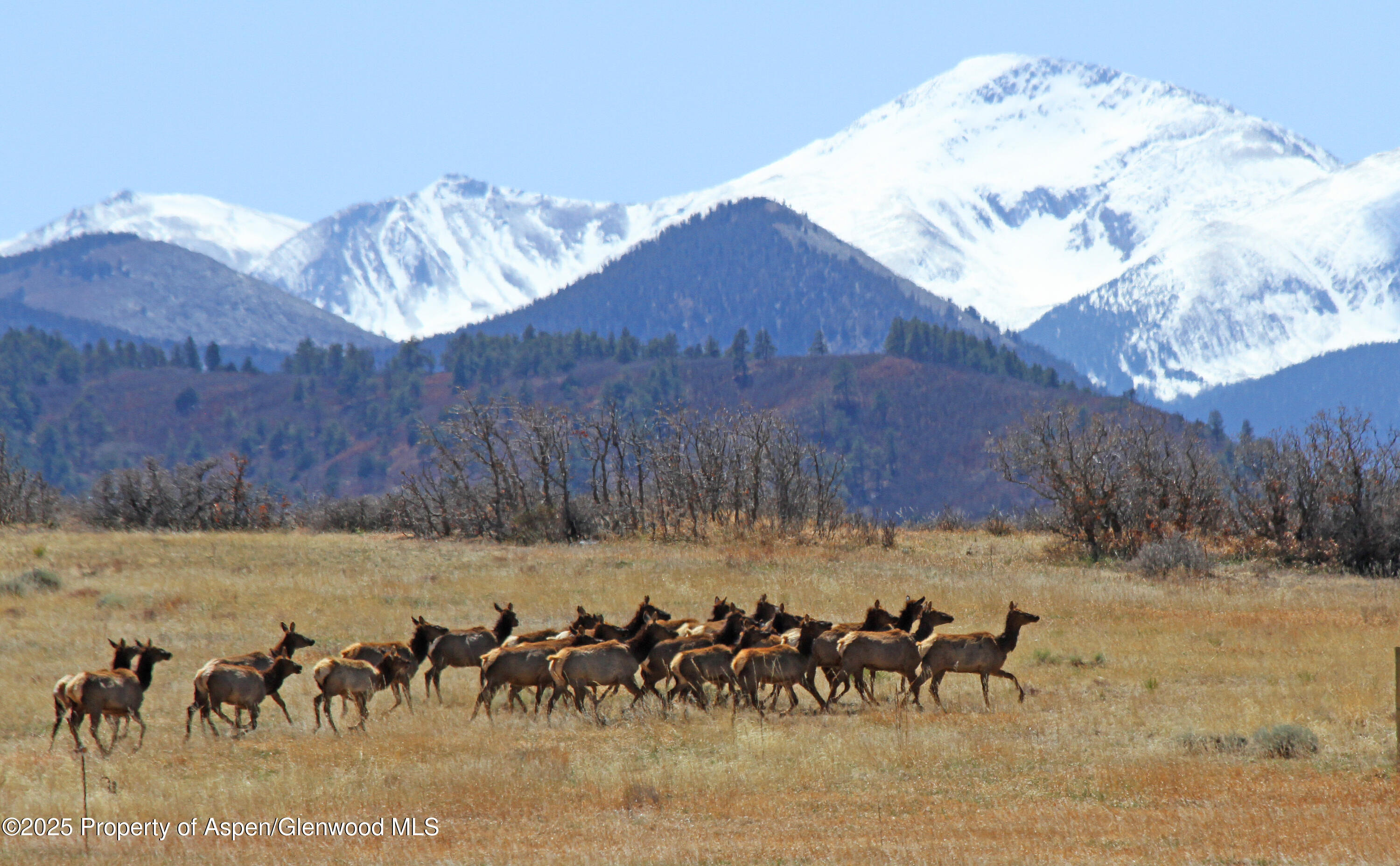 741 Big Wall Lane La Veta, CO 81055 - Photo 19 of 47 a view of a backyard with furniture