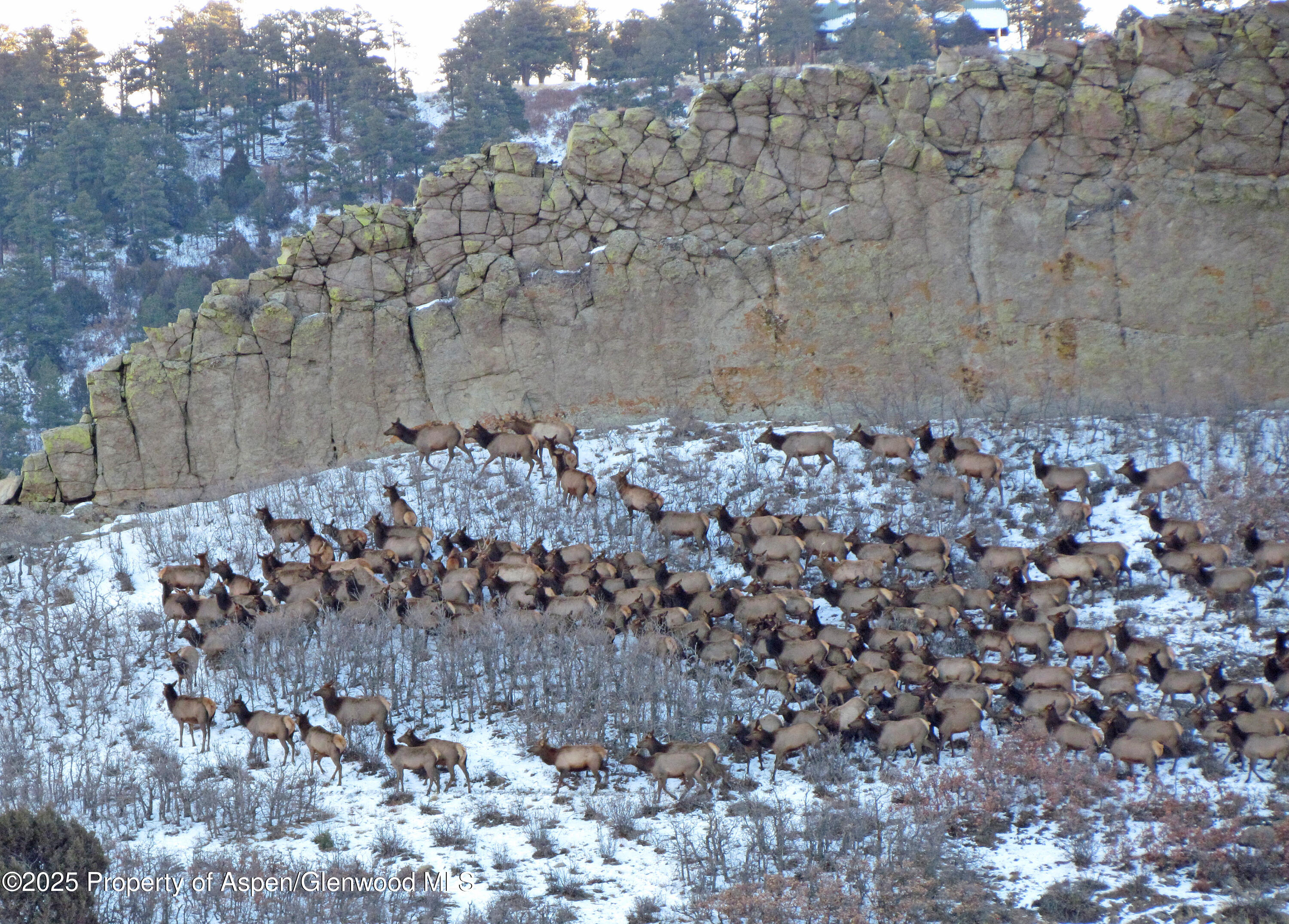 741 Big Wall Lane La Veta, CO 81055 - Photo 20 of 47