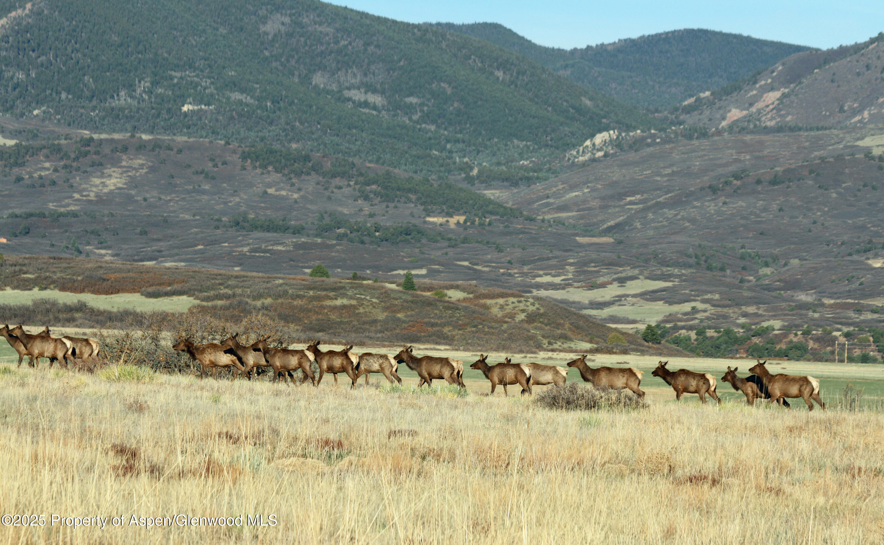 741 Big Wall Lane La Veta, CO 81055 - Photo 22 of 47 a view of a yard with an outdoor space