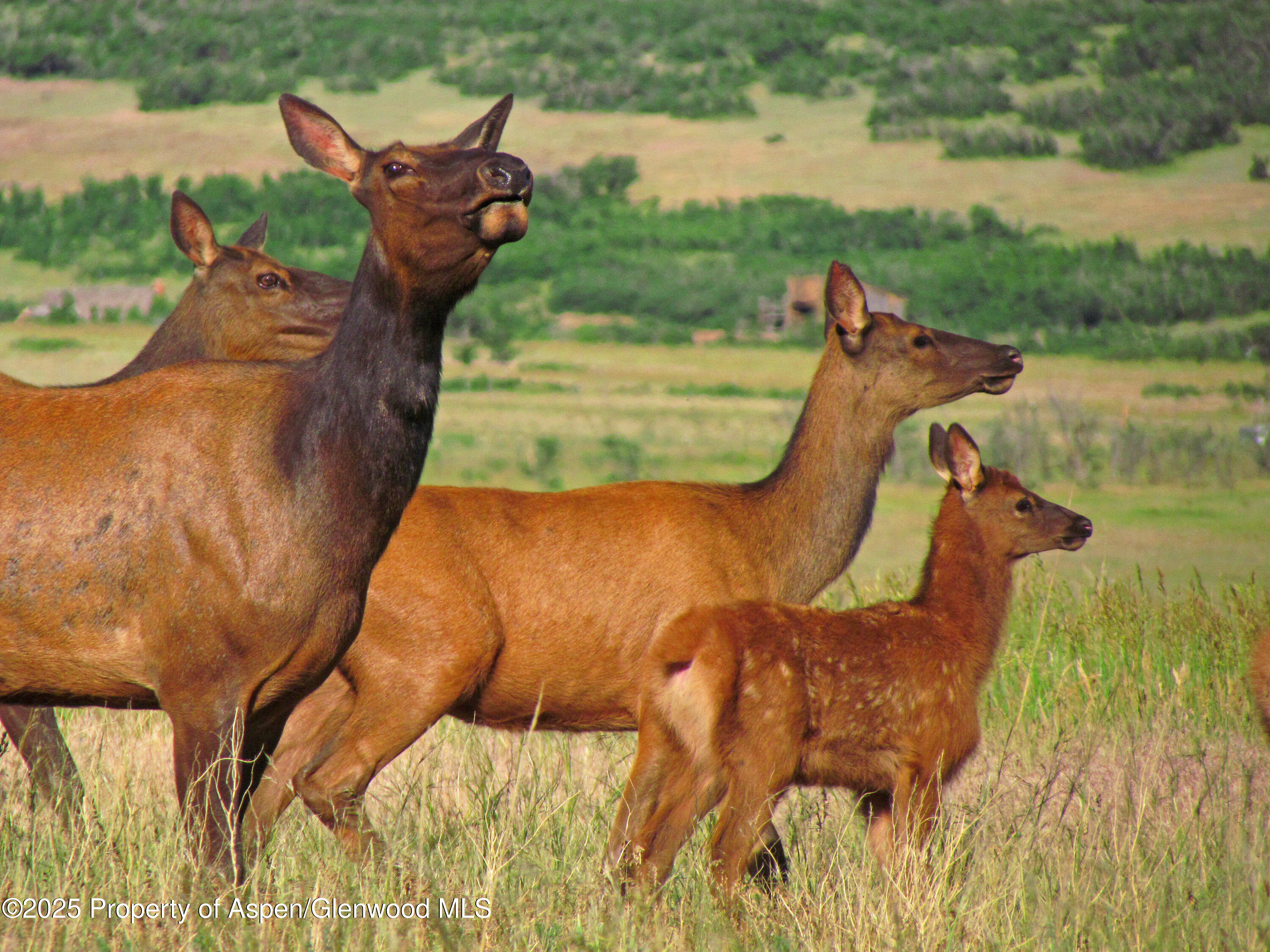 741 Big Wall Lane La Veta, CO 81055 - Photo 23 of 47 a view of a lake and outdoor space
