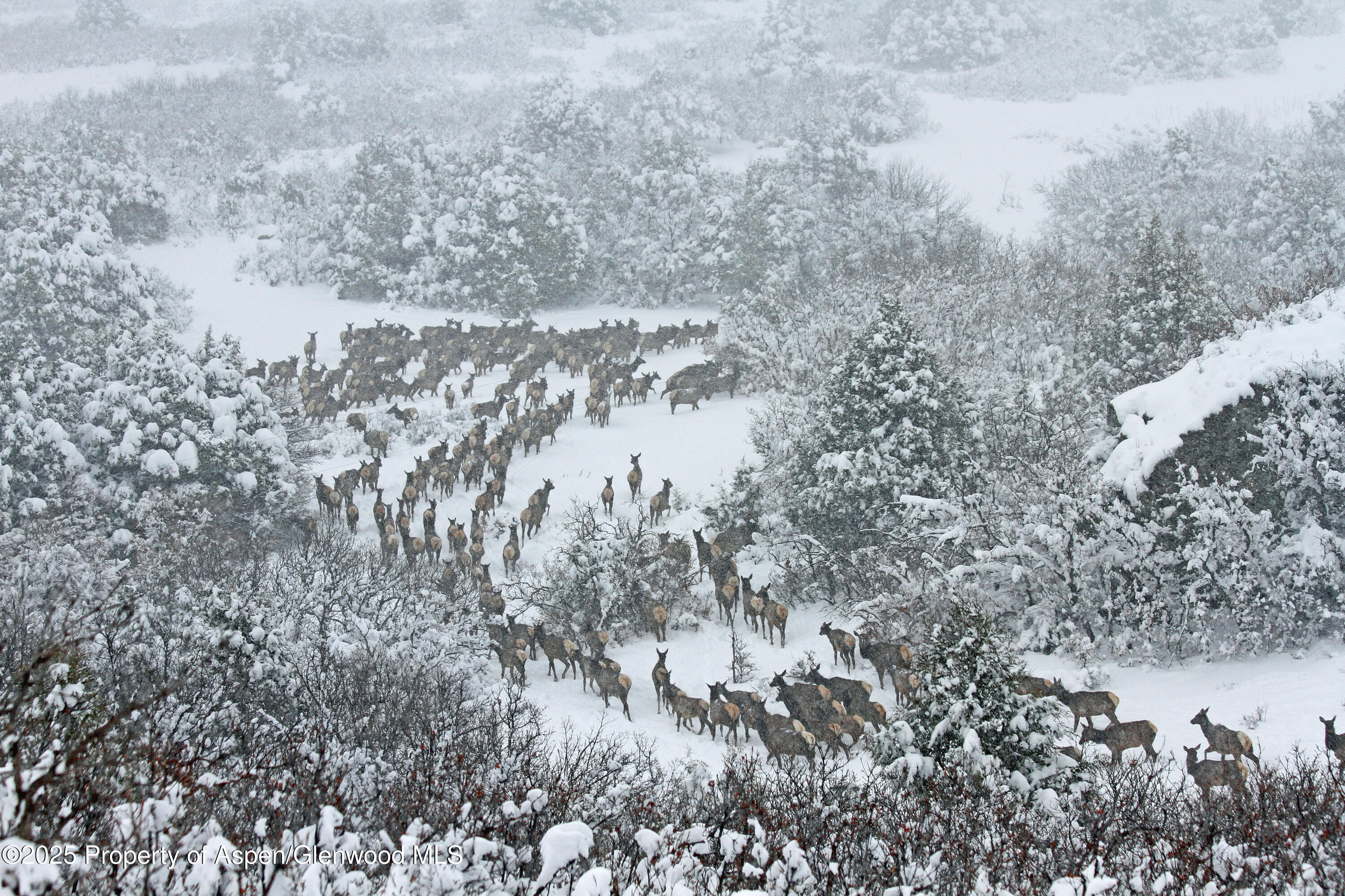 741 Big Wall Lane La Veta, CO 81055 - Photo 25 of 47 a view of a lake with lots of trees