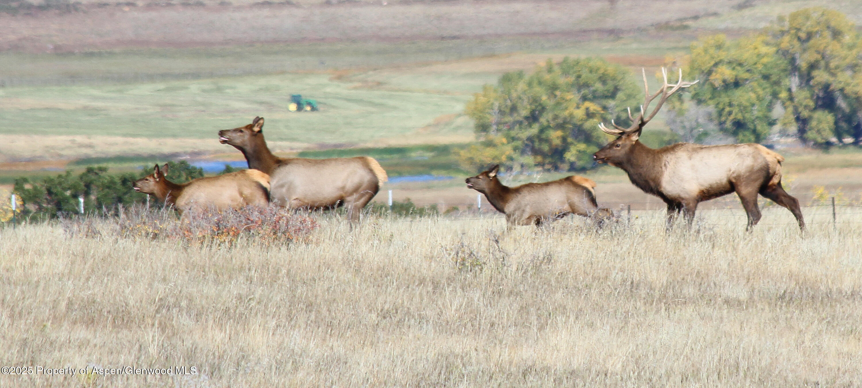 741 Big Wall Lane La Veta, CO 81055 - Photo 26 of 47 a view of a lake