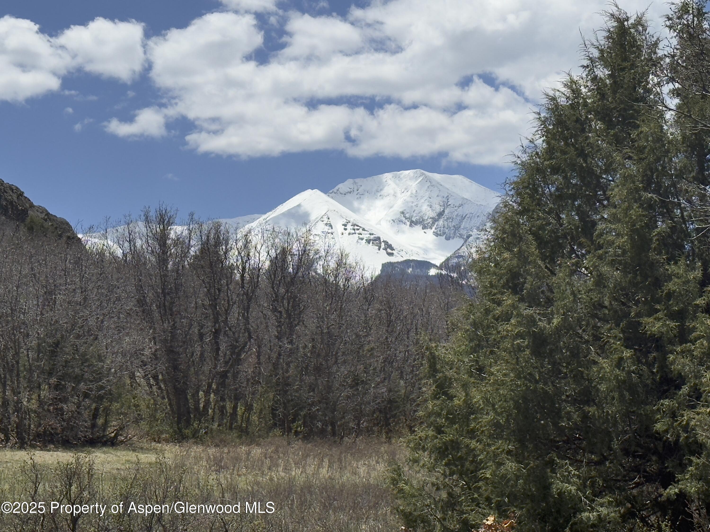 741 Big Wall Lane La Veta, CO 81055 - Photo 3 of 47 a view of a dry yard with trees