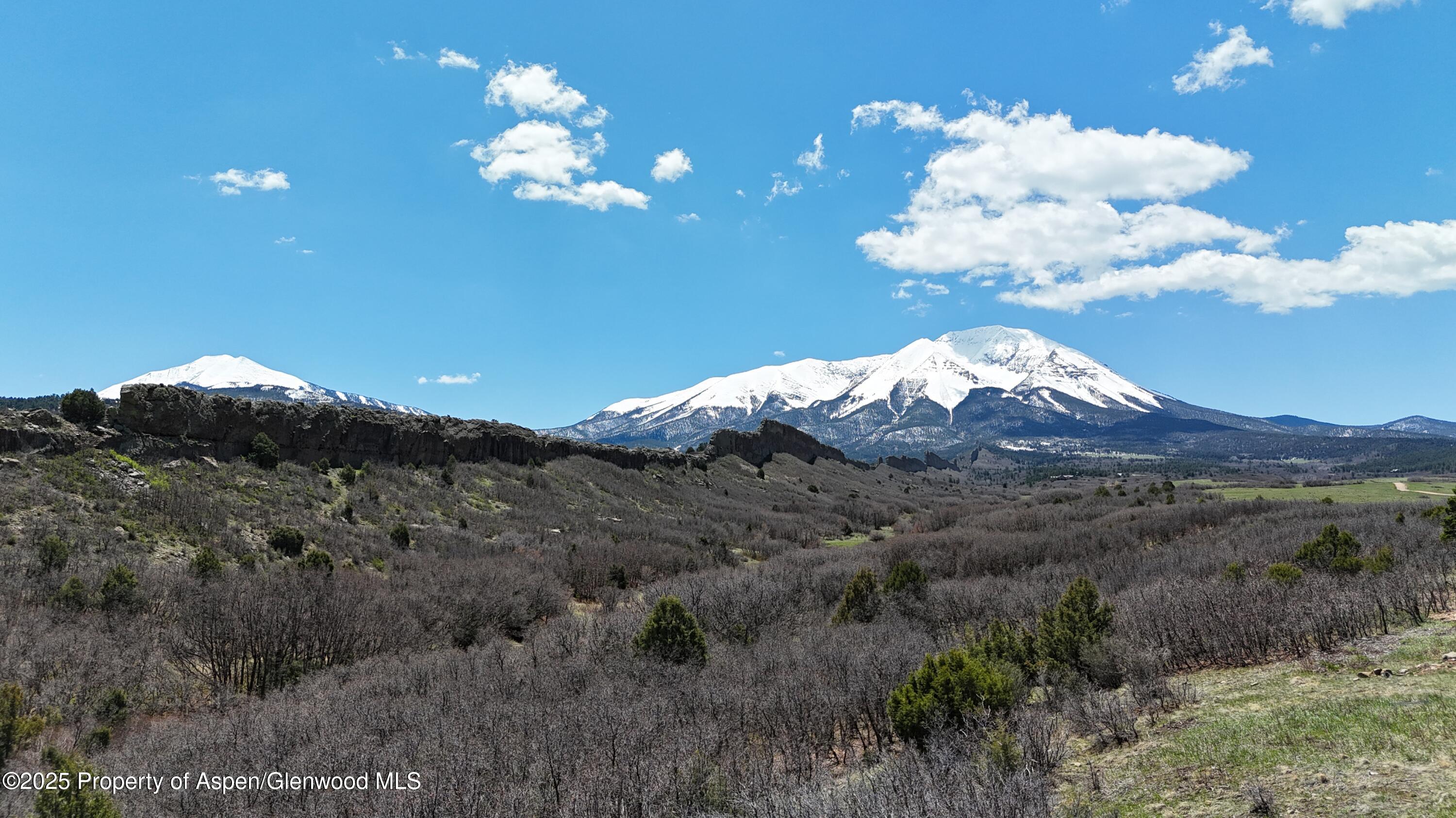 741 Big Wall Lane La Veta, CO 81055 - Photo 34 of 47 a view of a flower in a field