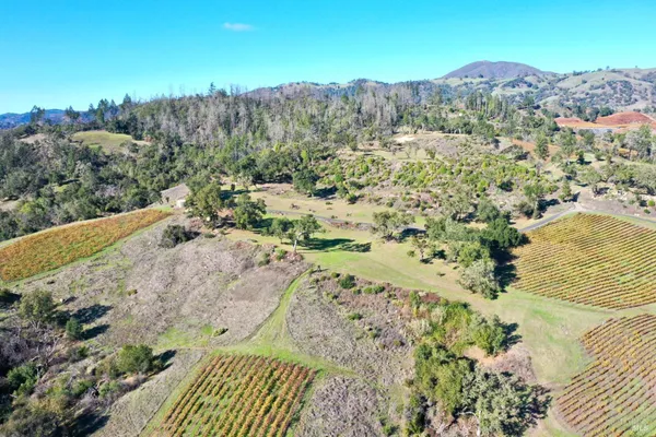 a view of a field with an trees