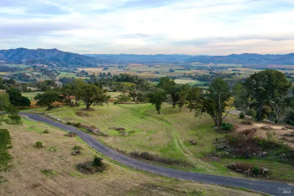 a view of a field with an trees